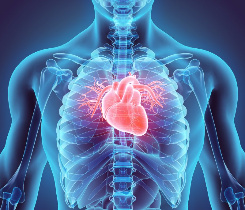 Illustration of heart in chest