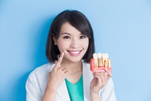 Dentist holding dental implant model and pointing to teeth.